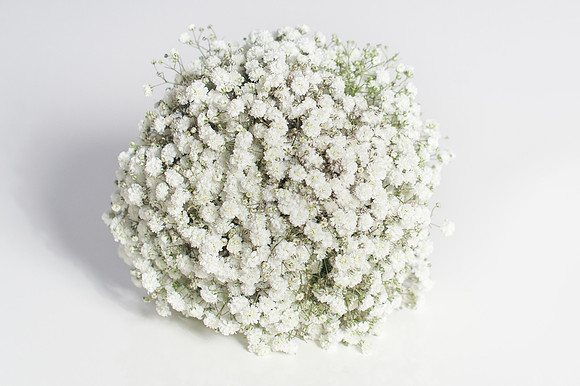 Flower Bar-0024